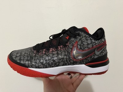 Nike Men Zoom LeBron NXXT Gen Black White Red Men 11 / Women 12.5 DR8784-001