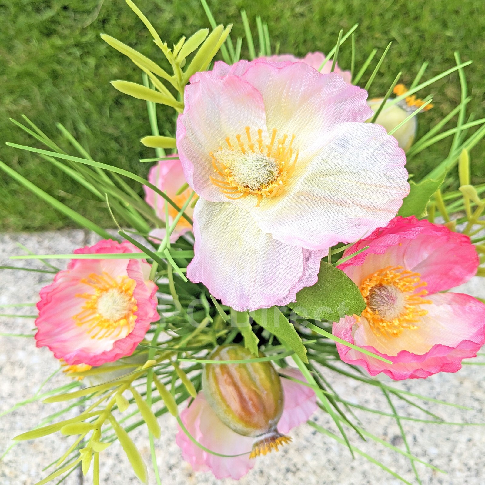 Picture 49 of 62