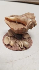 Handmade Sea Shell Candle Holder (M)