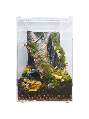 Herpcult Acrylic Reptile Terrarium Gecko Snake Spider Vivarium Cage Large Tall