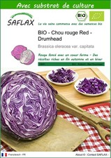 SAFLAX - BIO - Chou rouge Red - Drumhead - 250 graines - Avec substrat - Brassi