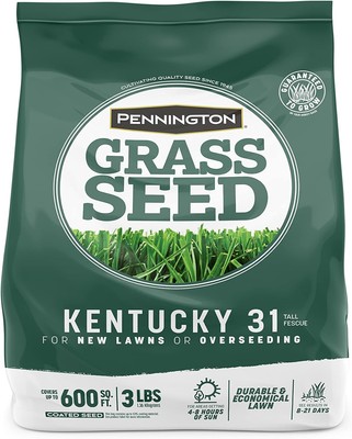 Pennington Kentucky 31 Tall Fescue Penkoted Grass Seed 3 lb 3 lb, Green 