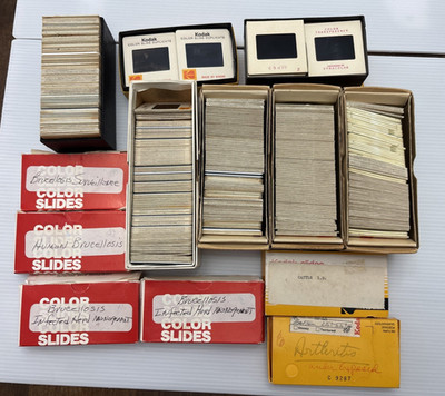 Lot of ~600 Color Slides 1960s/70s Veterinarian Brucellosis USDA Studies Herds