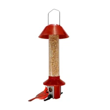 Red Metal Pest off Squirrel Proof Mixed Seed and Sunflower Bird Feeder