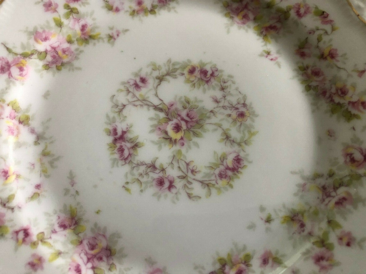 Z S & Co Scherzer China ZSC4 Pink Roses, Gold, Embossed - 5