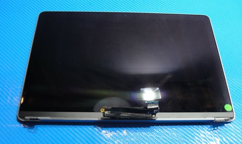 Retina LCD Screen Display 