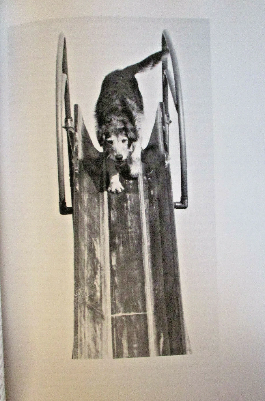 Picture 4 of 6