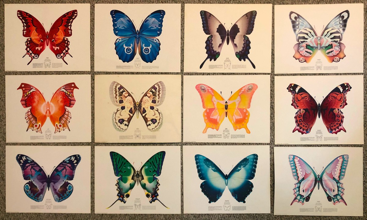 1973-1974 Vintage Richard A. Colborn Butterfly Zodiac Art