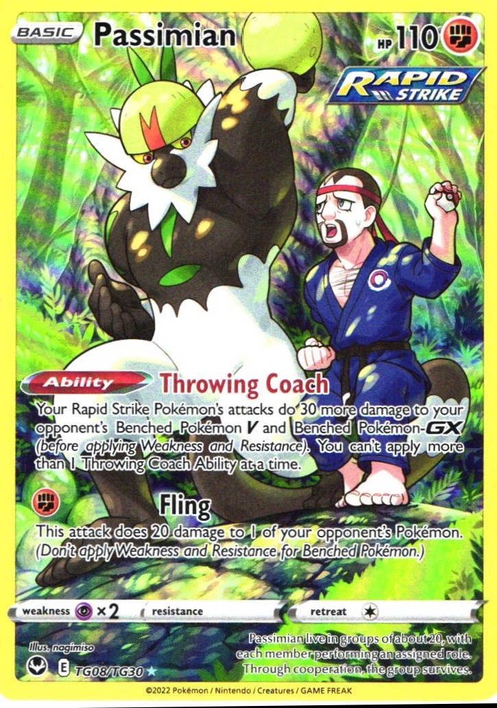 Passimian TG08/TG30 Foil NM - SWSH12: Silver Tempest Trainer Gallery