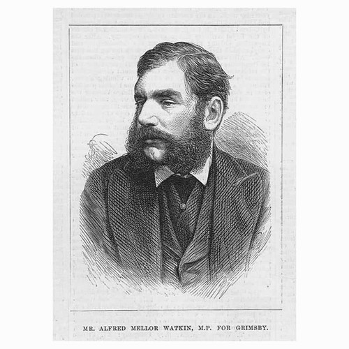 Alfred Mellor Watkin MP for Grimsby - Antique Print 1877