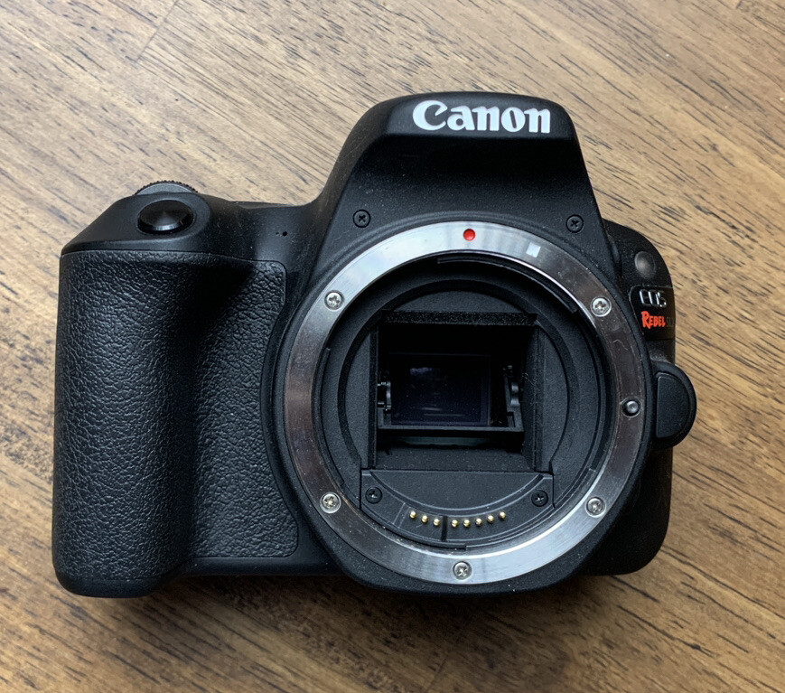 Canon Sl2 Canon 200d Ii Release Date Canon Sl2 Canon 200d In Usa