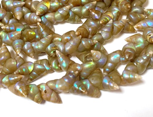 VINTAGE TASMANIAN ABORIGINAL MAIREENER SHELL NECKLACE LONG STRAND 135cms - Picture 10 of 15
