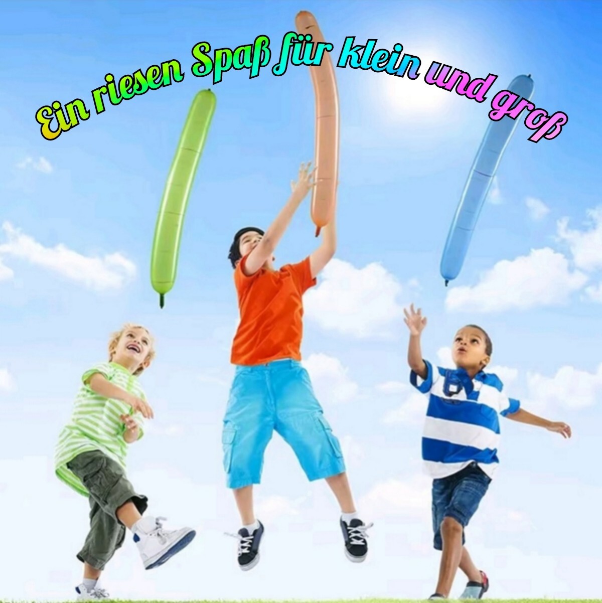 Bild 6 von 12