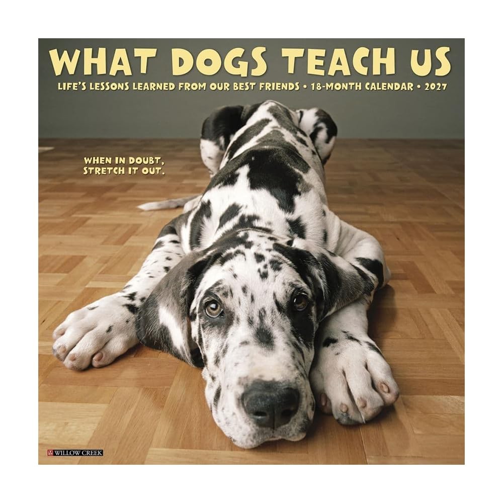 What Dogs Teach Us 2027 Wall by Willow Creek Press - - Image 4