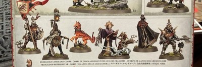 Freeguild Command Corps Cities of Sigmar Warhammer AoS