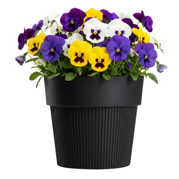 Howhomely Blumentopf ÜBertopf H13Xb15Cm Pflanzgefäß Schwarz Pflanztopf Geriffelt-image