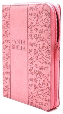Santa Biblia Reina Valera 1960 Letra Grande tamano manual