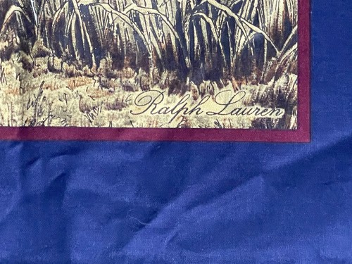 RARE! NEW PAIR Ralph Lauren STANDARD EQUESTRIAN Brianna Horse HUNT PILLOWCASES - Picture 13 of 14