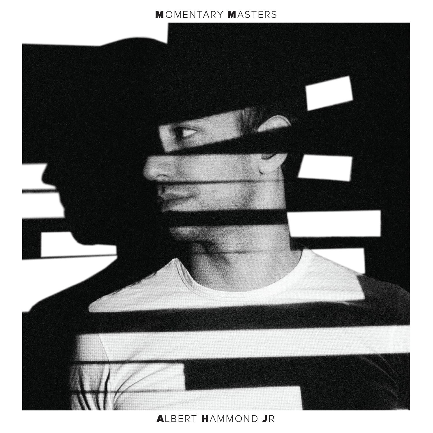 Albert Hammond Jr. Momentary Masters (Vinyl LP)