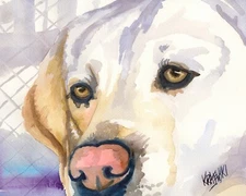 Labrador Retriever Print of Original Fine Art Watercolor by Ron Krajewski