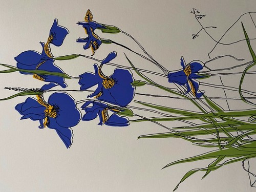 Serigrafía Wild Iris de Brett Harper - edición limitada - Imagen 3 de 3