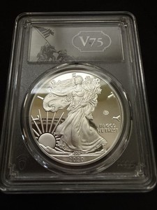 V75 Silver Eagle | eBay