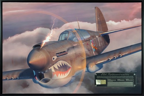 P-40 Warhawk - Vecchio sterminatore - Tela 30"x20" | INCLUDE: Frammento di presa d'aria - Foto 2 di 8