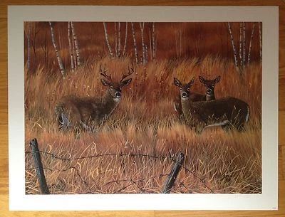 Ducks Unlimited Whitetail Deer Print 1997 Doug Berg signed Animals Prints WI