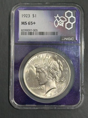 1923 Peace Silver Dollar - NGC MS65+ Plus- PQ Trader Bea Purple Slab 🔥