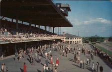 St. Petersburg, Florida FL Derby Lane Tichnor Chrome Original Vintage Postcard