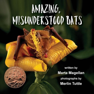 Amazing, Misunderstood Bats Marta Magellan Taschenbuch Englisch 2021