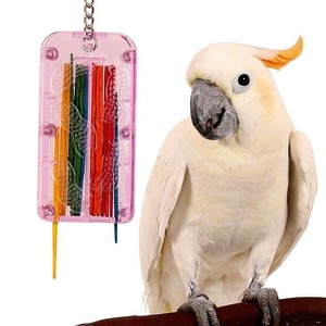 cockatoo bird toys