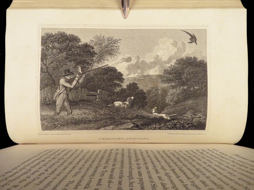 1818 HUNTING 1ed Field Sports Fishing Horse & DOG Fowling Racing FINE BINDING - Picture 16 of 24