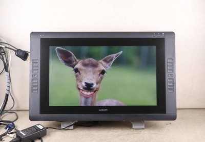 Wacom Cintiq 22HD DTK-2200 21,5 Zoll Full HD Touchscreen Stift Tablet LED