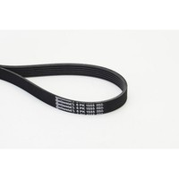 Keilrippenriemen Continental Ctam 6PK1555 FüR Audi Bmw Ford Opel Porsche Volvo