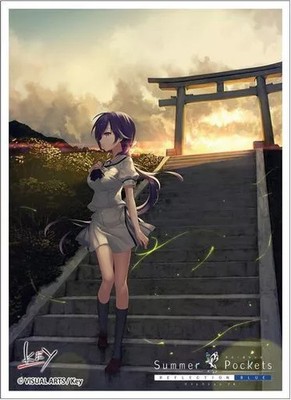 Movic Summer Pockets Reflection Blue Card Sleeves 65 Pack Matte Japan