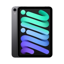 Apple iPad mini 6th Gen Wi-Fi  Cellular 8.3" Gray w/Bundle