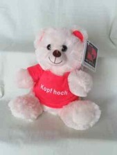 Plüschbär Teddy mit rotem Shirt: Kopf hoch!  ca. 16 cm Morgenroth