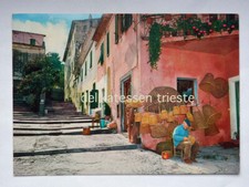 MARINA DI CAMPO Isola d'Elba cestaio Pensione Viticcio Livorno vecchia cartolina