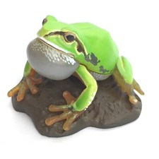 Choco Q Mini Figure Japanese Tree Frog Normal Kaiyodo Japan