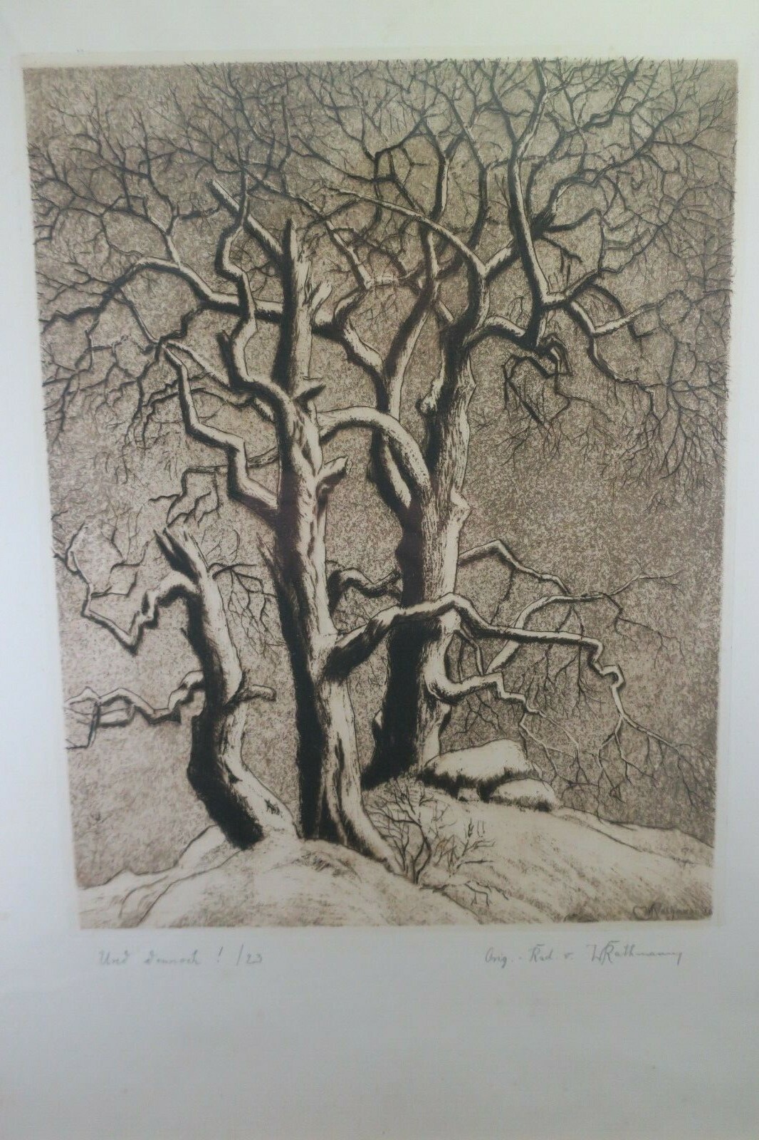 Picture 4 of 12