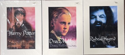 3 Drucke Harry Potter/Draco Malfoy/Rubeus Hagrid Drucke 14 x 11 cm