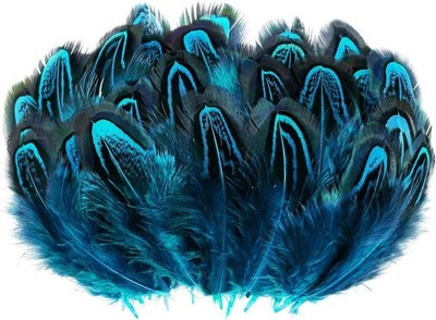 Turquoise Blue Pheasant Feathers 100pcs 2-3 Inches for Crafting Decorations