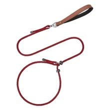 Slip Lead Dog Leash for Puppy Small Dogs Training and Walking Nylon Rope Leash