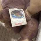 Beanie Babies Springy Bunny Rabbit Plush 2000 - Full & McDonalds Size — photo 4
