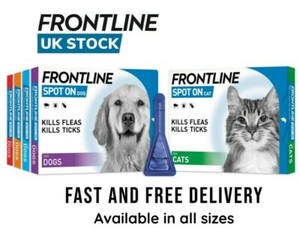 frontline for cats 6 pack