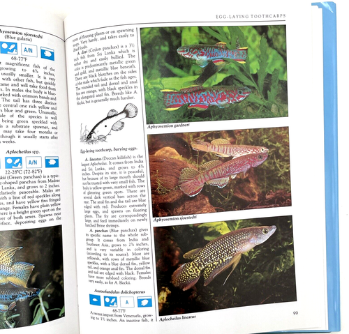 The Aquarium Fish Survival Manual by Brian Ward 1985 Very Clean - Picture 8 of 11
