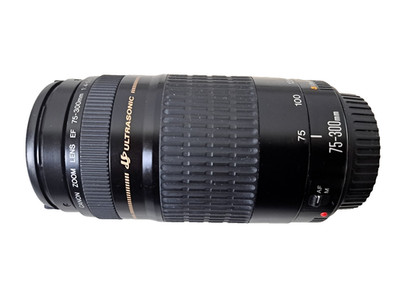 Canon Zoom Lens EF 75-300mm 1:4-5.6 (Ultrasonic) Objektiv