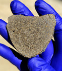 NWA 13635 H6 Chondrite Meteorite 20.756g Full Slice Shock Vein Rare COA — photo 1