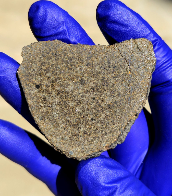 NWA 13635 H6 Chondrite Meteorite 20.756g Full Slice Shock Vein Rare COA